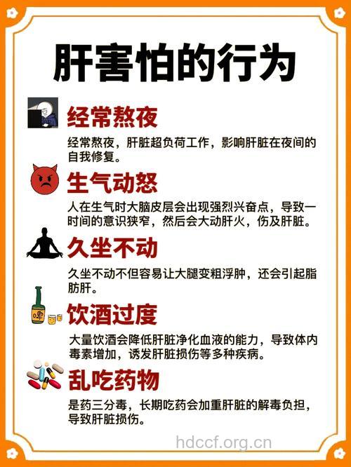 中年人肝脏最怕的四件事