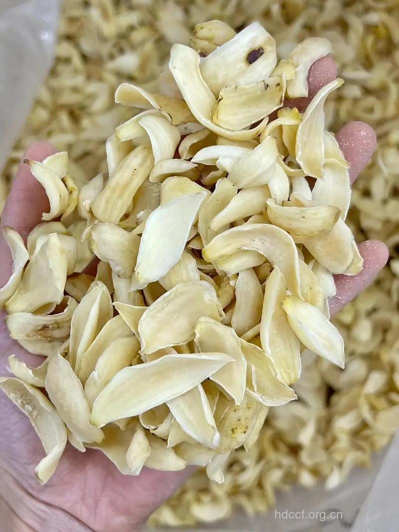 百合――上等的滋补佳品