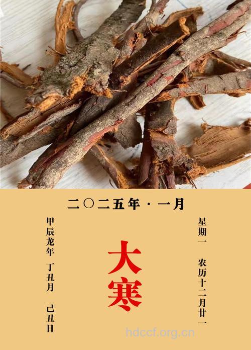 李根皮的功效与作用