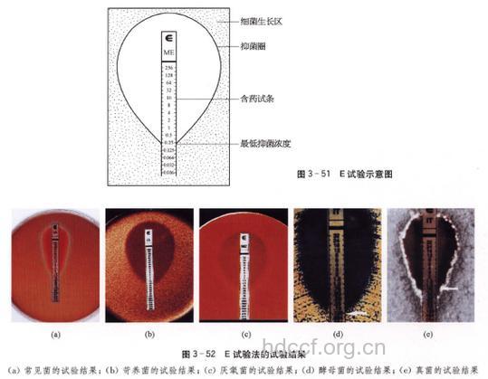 Alder试验是怎样的?