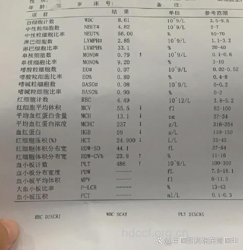 血清铁检查详情是怎么样的?