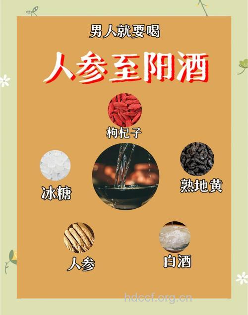 春天喝点药酒能养生 推荐3款养生酒