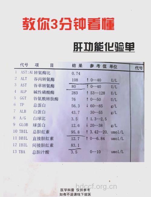 教你学会看化验单结果