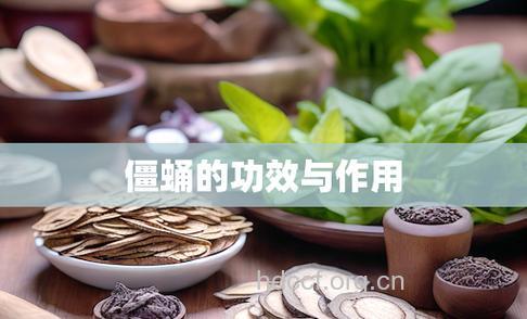 僵蛹的功效与作用