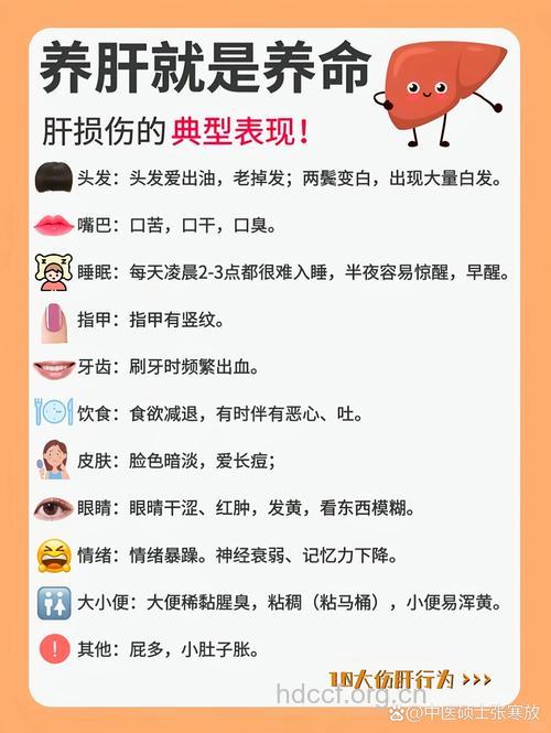 睡眠不足不吃早餐 最伤肝的9种行为