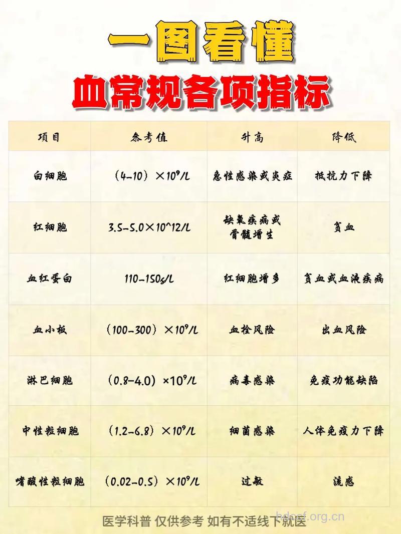 怎么看懂体检结果？