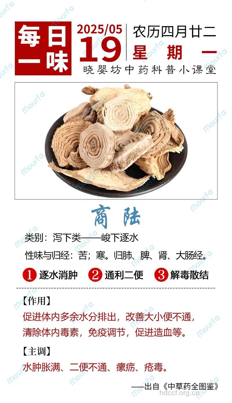 商陆的功效与作用