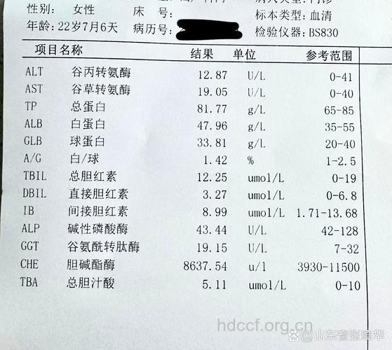 血常规检查是否能查出乙肝？