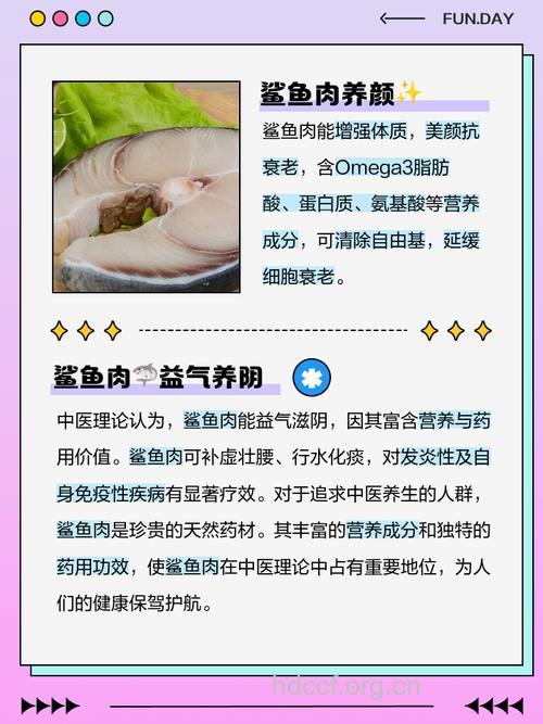 鲨鱼肉的功效与作用