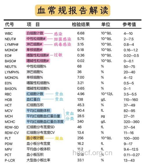 如何看懂血常规化验单各项参数