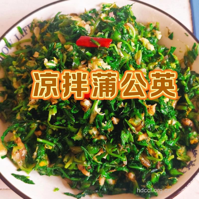 蒲公英怎么吃 4种家常做法别错过