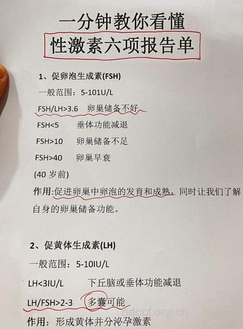 教你如何看性激素检测单