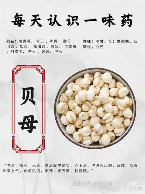 裕民贝母的功效与作用