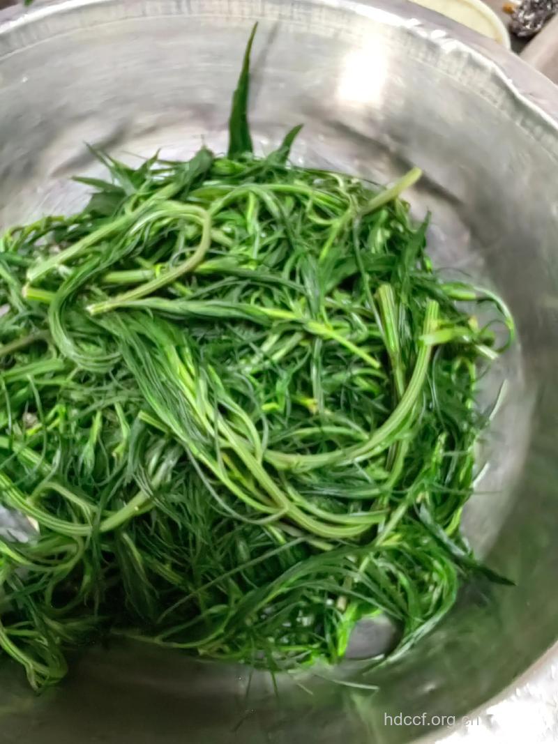 推荐2种凉拌猪毛菜的做法
