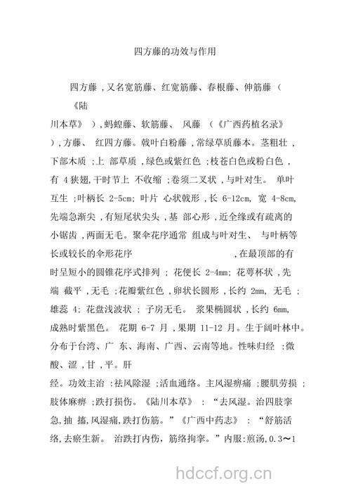 四方藤的功效与作用