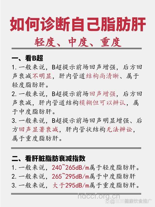 怎么诊断脂肪肝