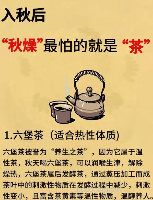 天干物燥 多喝茶饮能养生