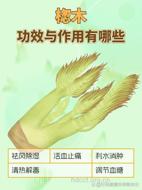 桤木皮的功效与作用