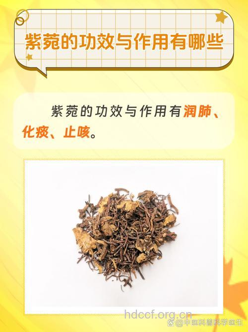 陀罗紫菀的功效与作用