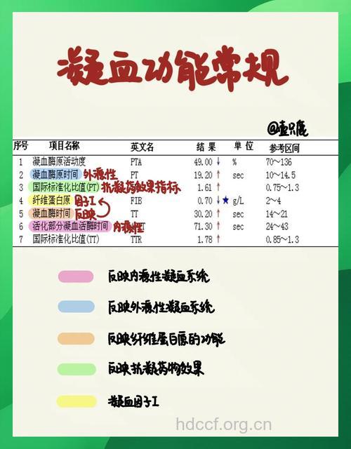 凝血实验过程的注意事项