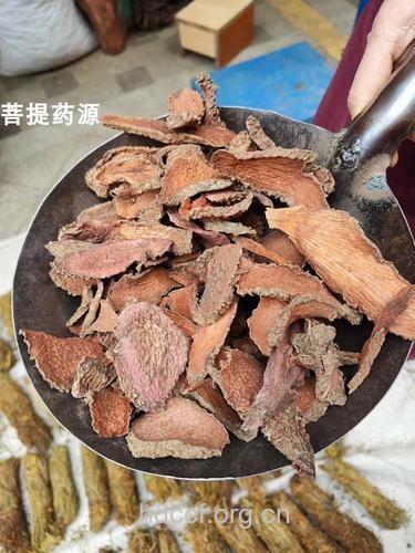 七叶薯的功效与作用