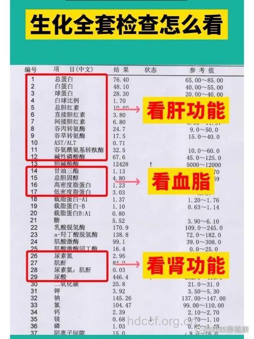 血流变检测的临床意义有哪些?