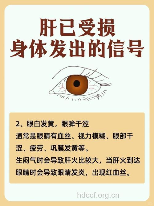 什么信号提示肝脏受损