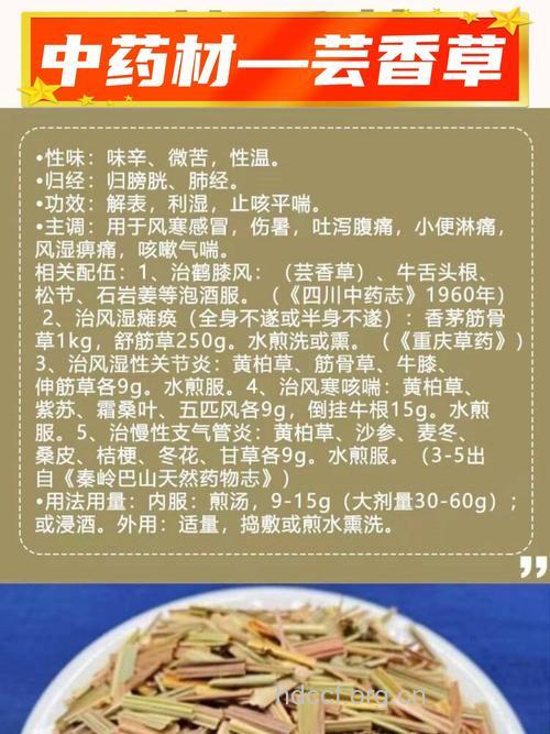 芸香的功效与作用