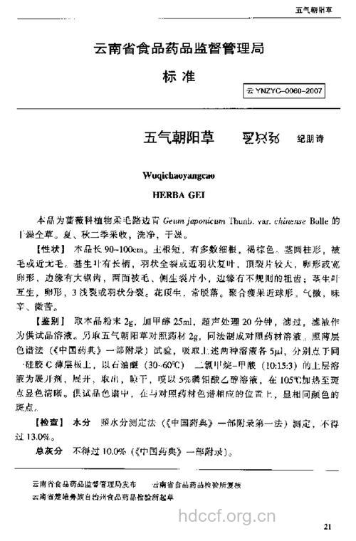 五气朝阳草的功效与作用