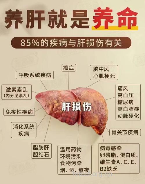 最伤肝脏的疾病是什么