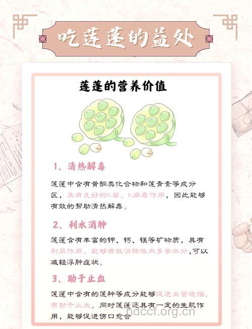 莲蓬草的功效与作用