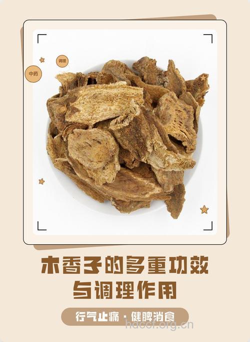 木香子的功效与作用