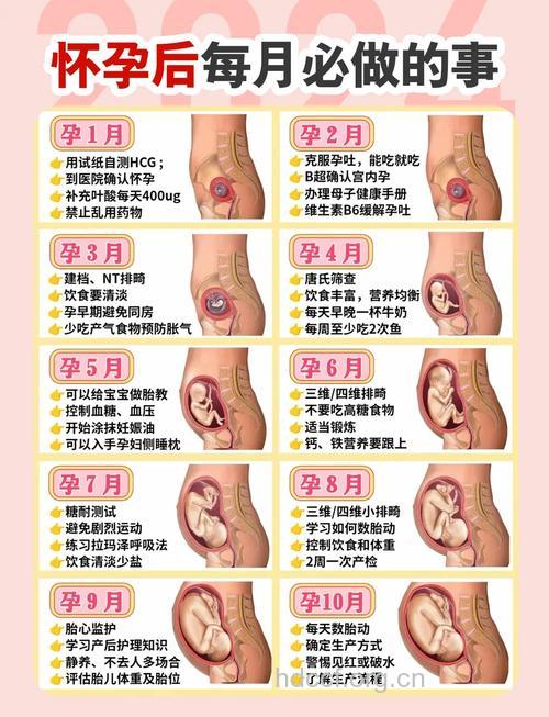 孕妇必须知道的四个孕检知识