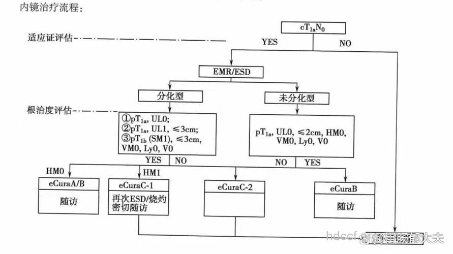 怎么内镜治疗胃癌