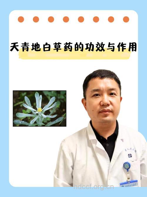 天青地白的功效与作用