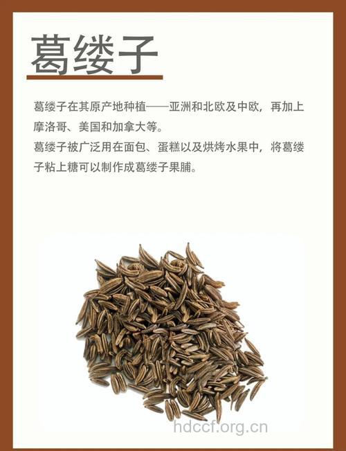 细葛缕子的功效与作用