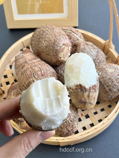 冬季吃啥好 芋头千万别错过