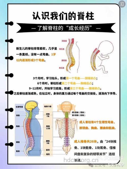 如何判断你脊椎是否健康