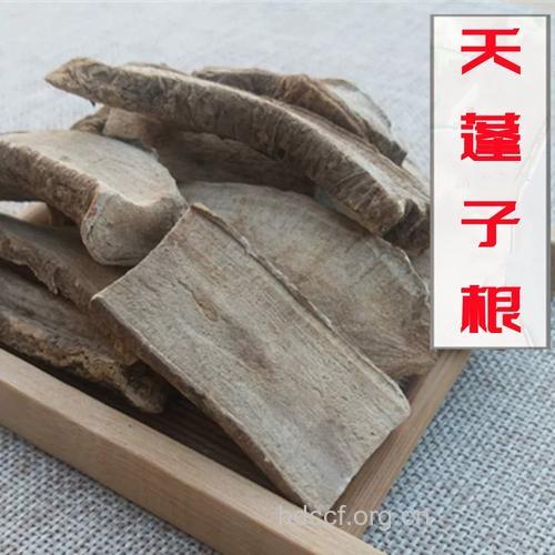天蓬子根的功效与作用