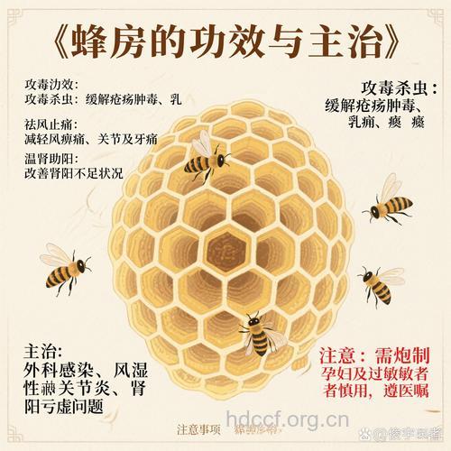 蜜蜂房的功效与作用