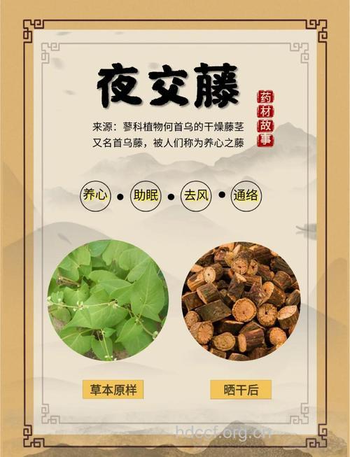 夜交藤的功效与作用
