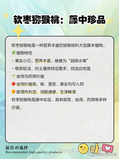 猕猴桃藤的功效与作用