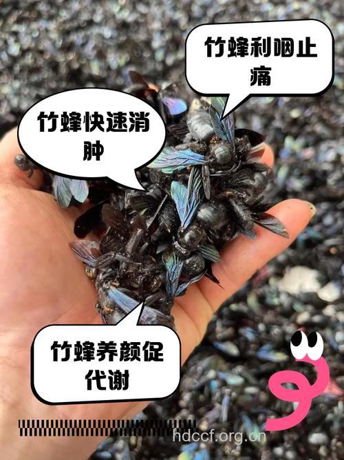 竹蜂的功效与作用