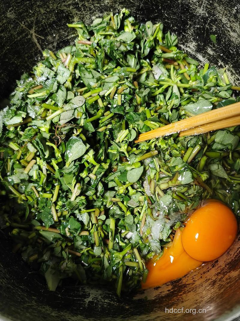 山马菜的做法有哪些 推荐2种吃法