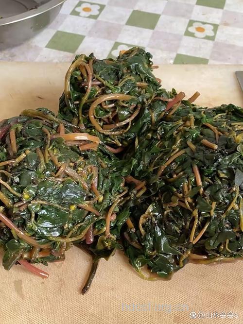 山马菜包子的做法 山马菜做法有哪些
