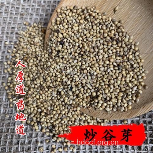 粟芽的功效与作用