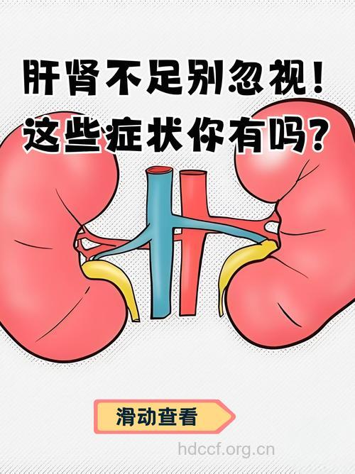 肝肾综合征的症状