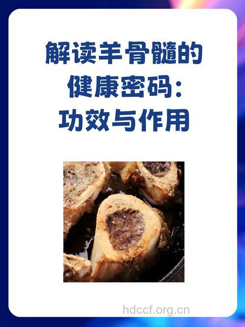 羊髓的功效与作用