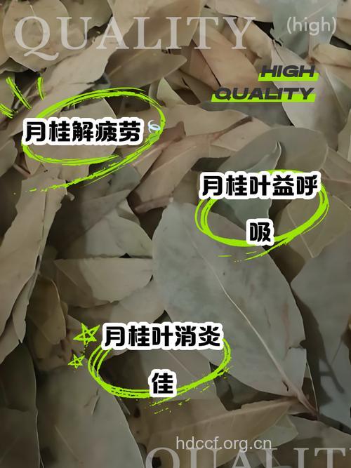 月桂叶的功效与作用