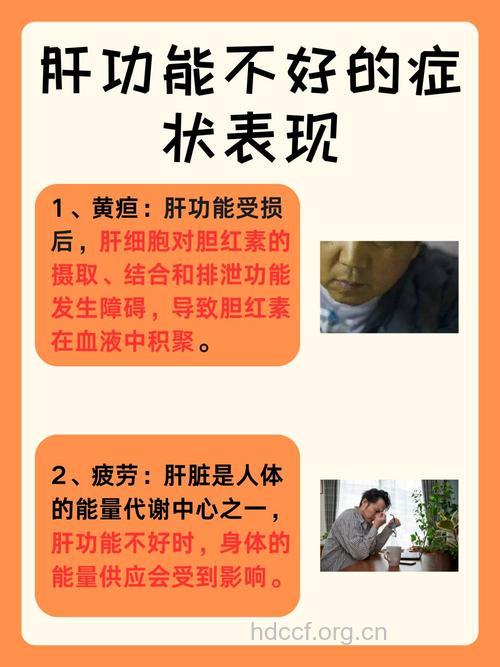 肝功能异常的症状表现有哪些